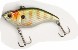 aruku-shad-junior-60-perch-large.jpg