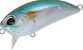 realis-crank-48-sr-all-bait-2.png