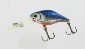 trophy-trout-american-shad-large.jpg