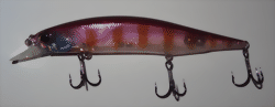 jerkbait-120-farbe-hd-gill-large.gif