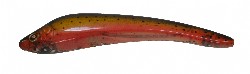 koolie-minnow-prt-3-2.jpg