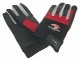 landehandschuh-small.jpg landehandschuh-small.jpg