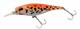 orange-tiger-small-2.jpg